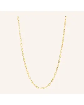 Alba Necklace gold-plated, ankerkæde i medium tykkelse - 