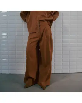 WBLHurricane HW wide Pant, bukser i camel - Nyheder